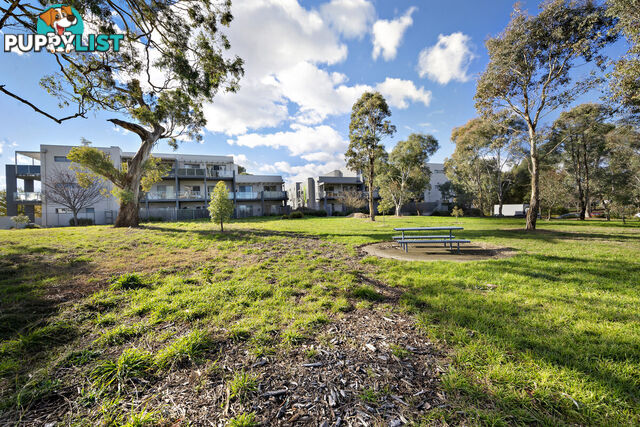 91/75 Elizabeth Jolley Crescent FRANKLIN ACT 2913