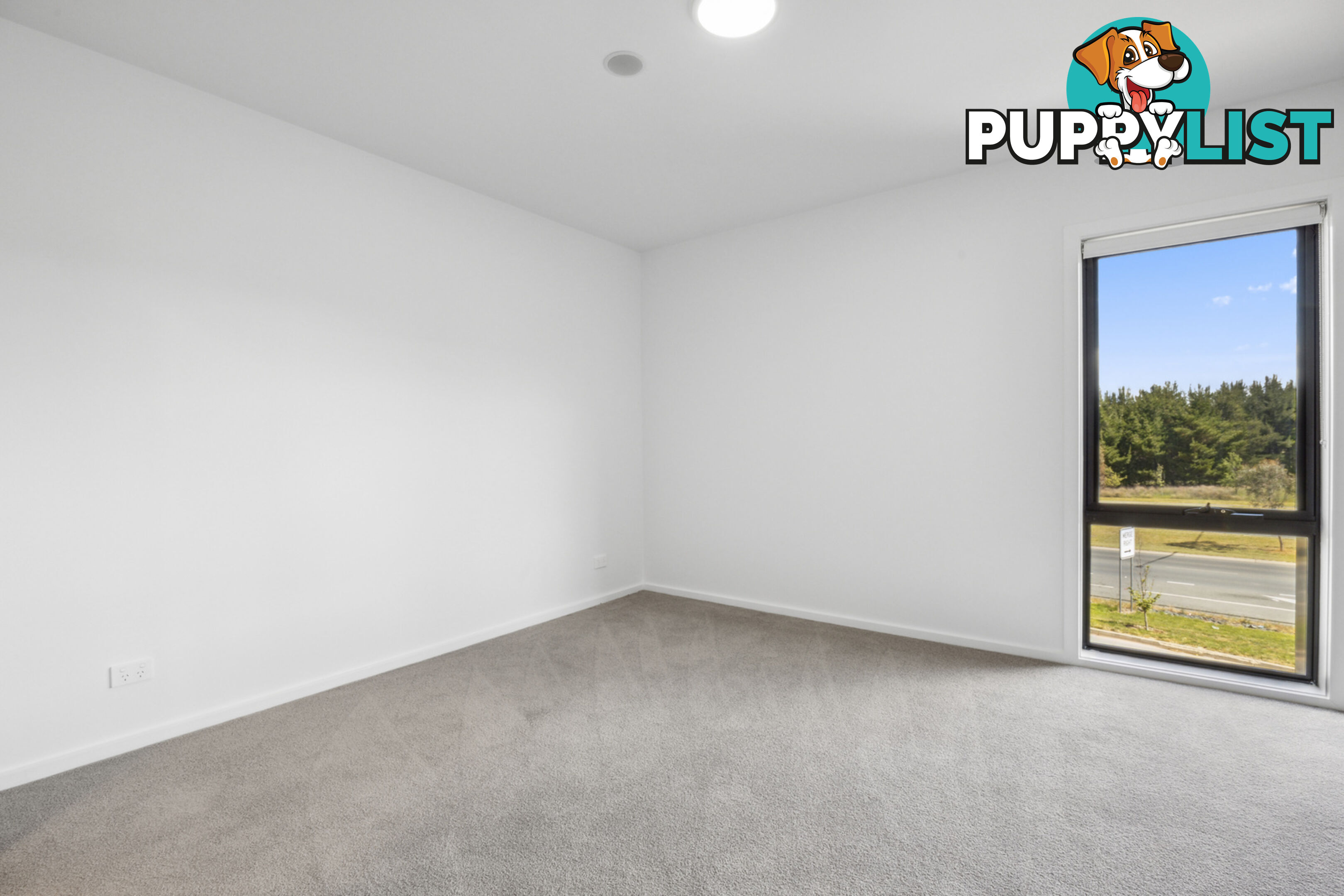 55/2 Cornelius Street COOMBS ACT 2611