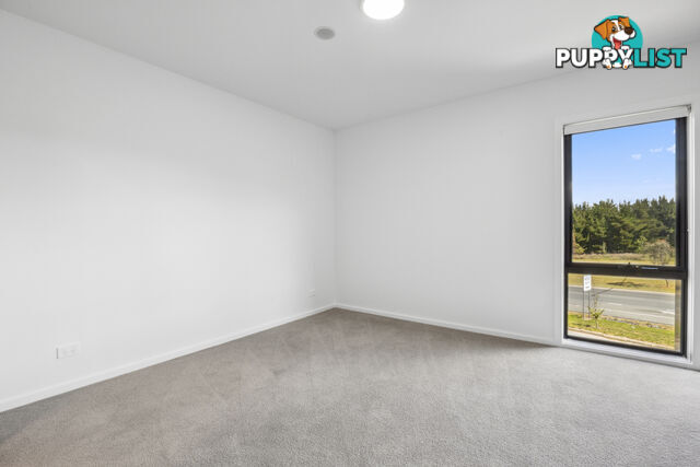 55/2 Cornelius Street COOMBS ACT 2611