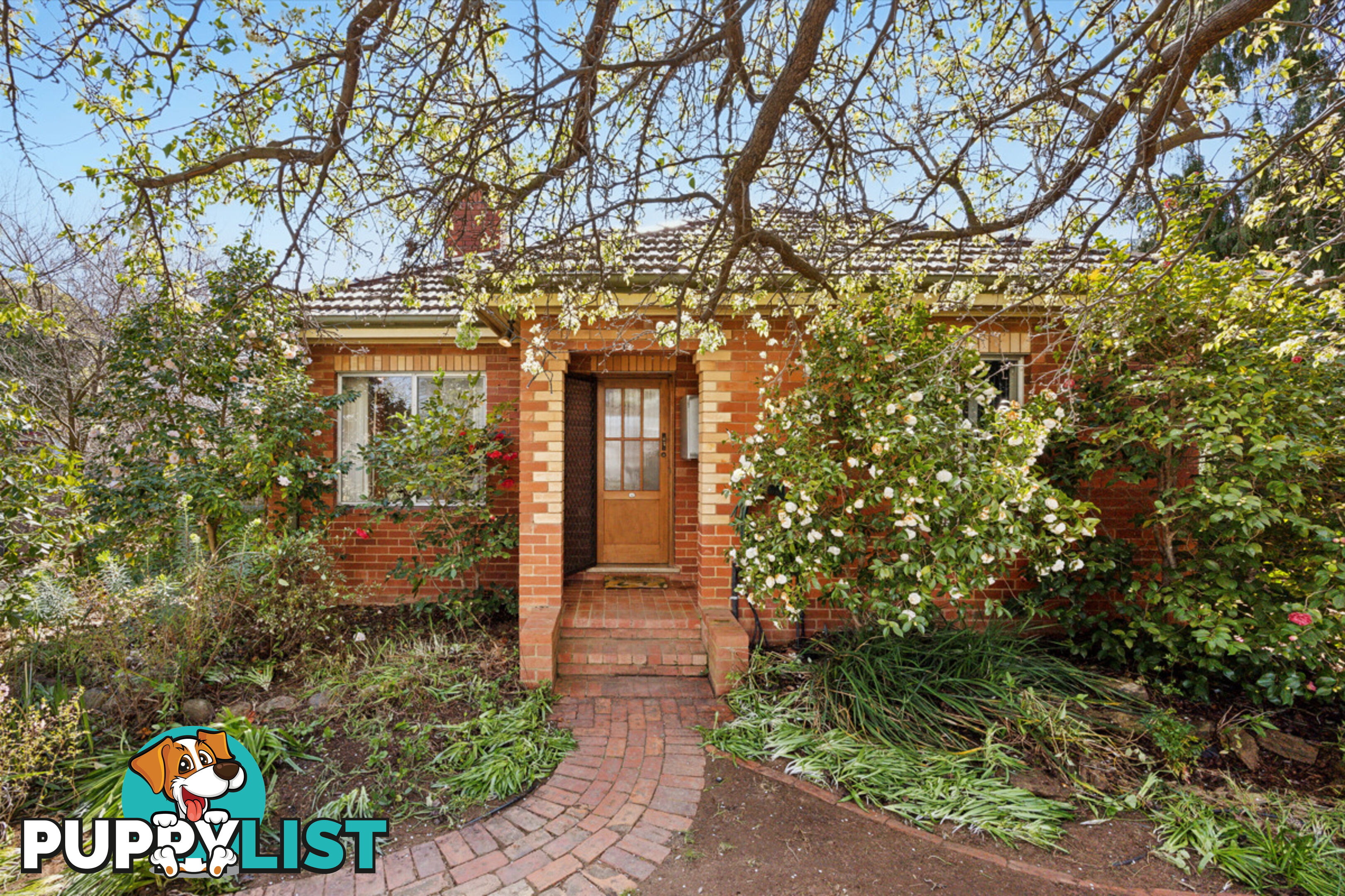 41a Foveaux Street AINSLIE ACT 2602