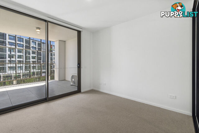 313/19 - 21 Challis Street DICKSON ACT 2602