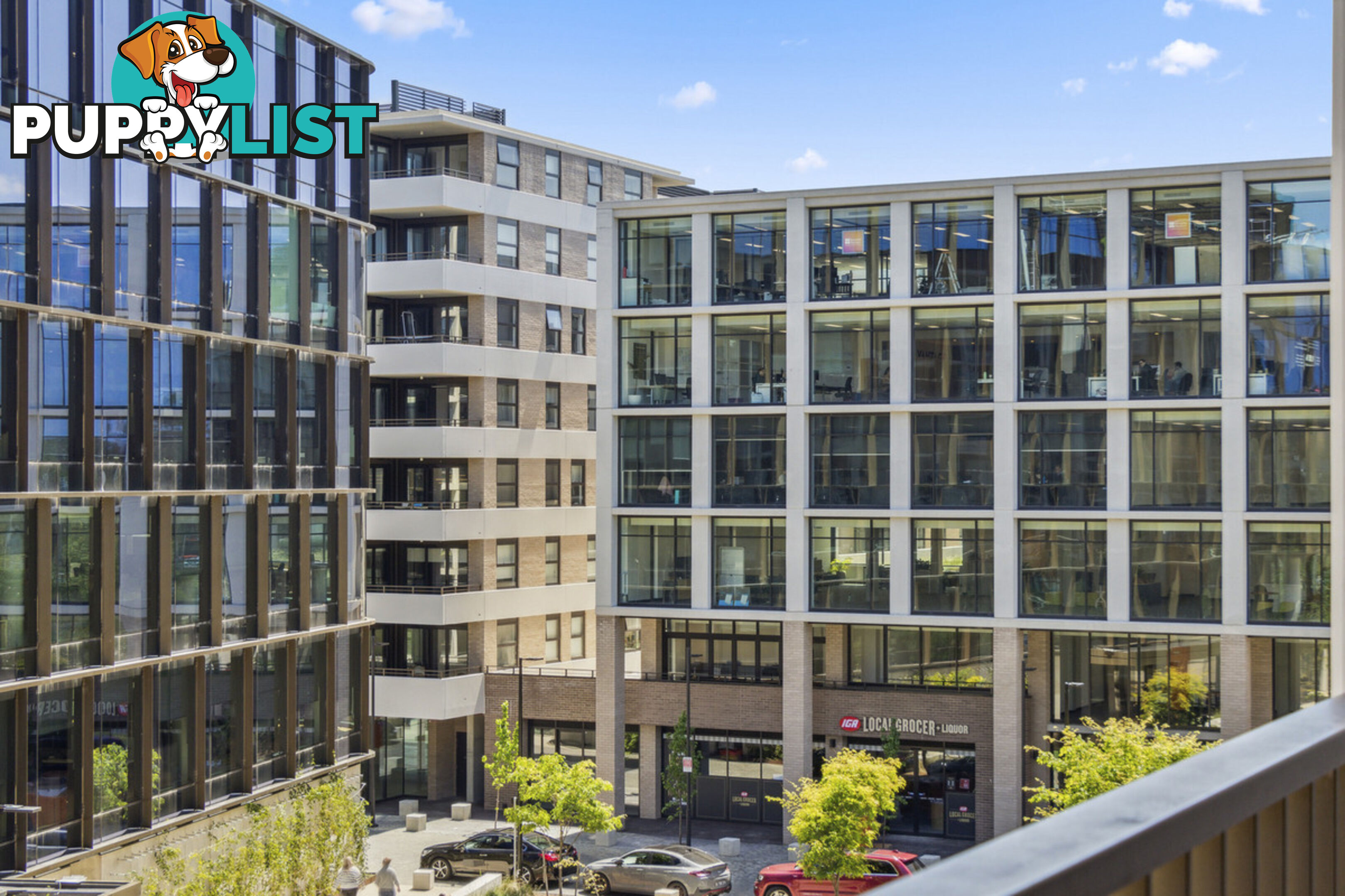 313/19 - 21 Challis Street DICKSON ACT 2602