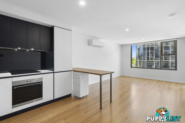 313/19 - 21 Challis Street DICKSON ACT 2602
