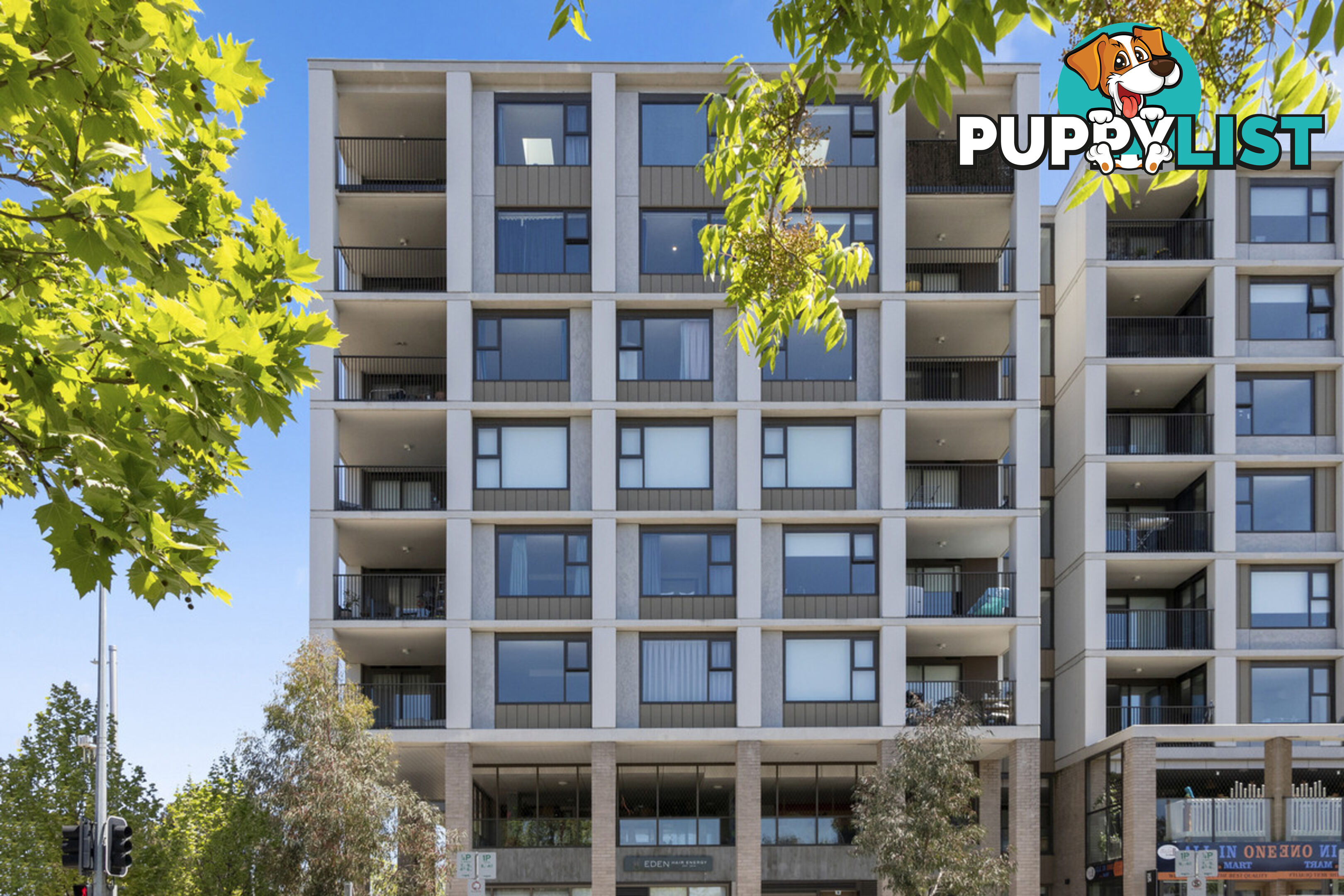 313/19 - 21 Challis Street DICKSON ACT 2602