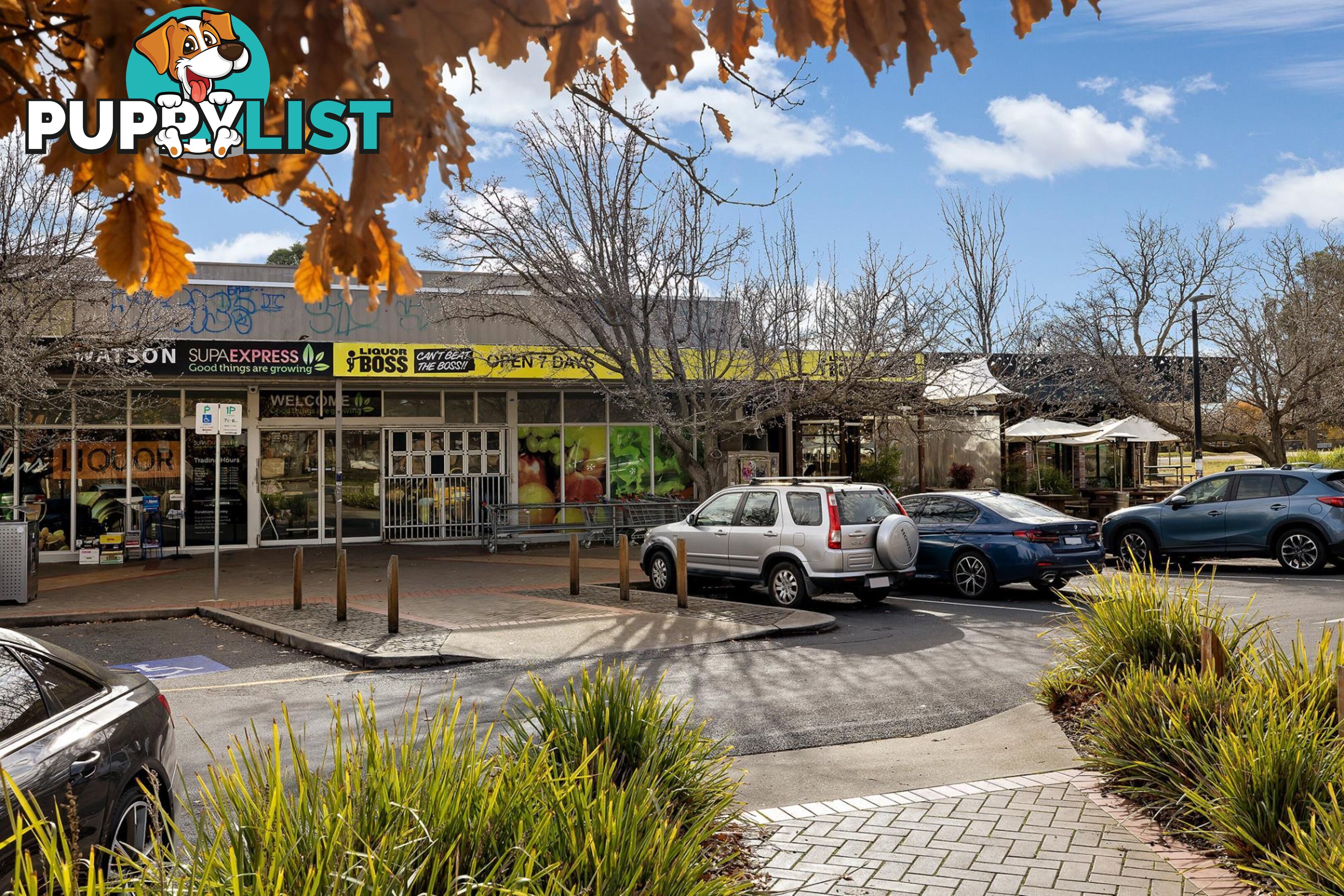 8/115 Knox Street WATSON ACT 2602