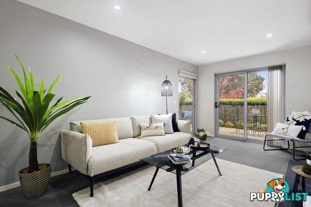 3/10 Ipima Street BRADDON ACT 2612