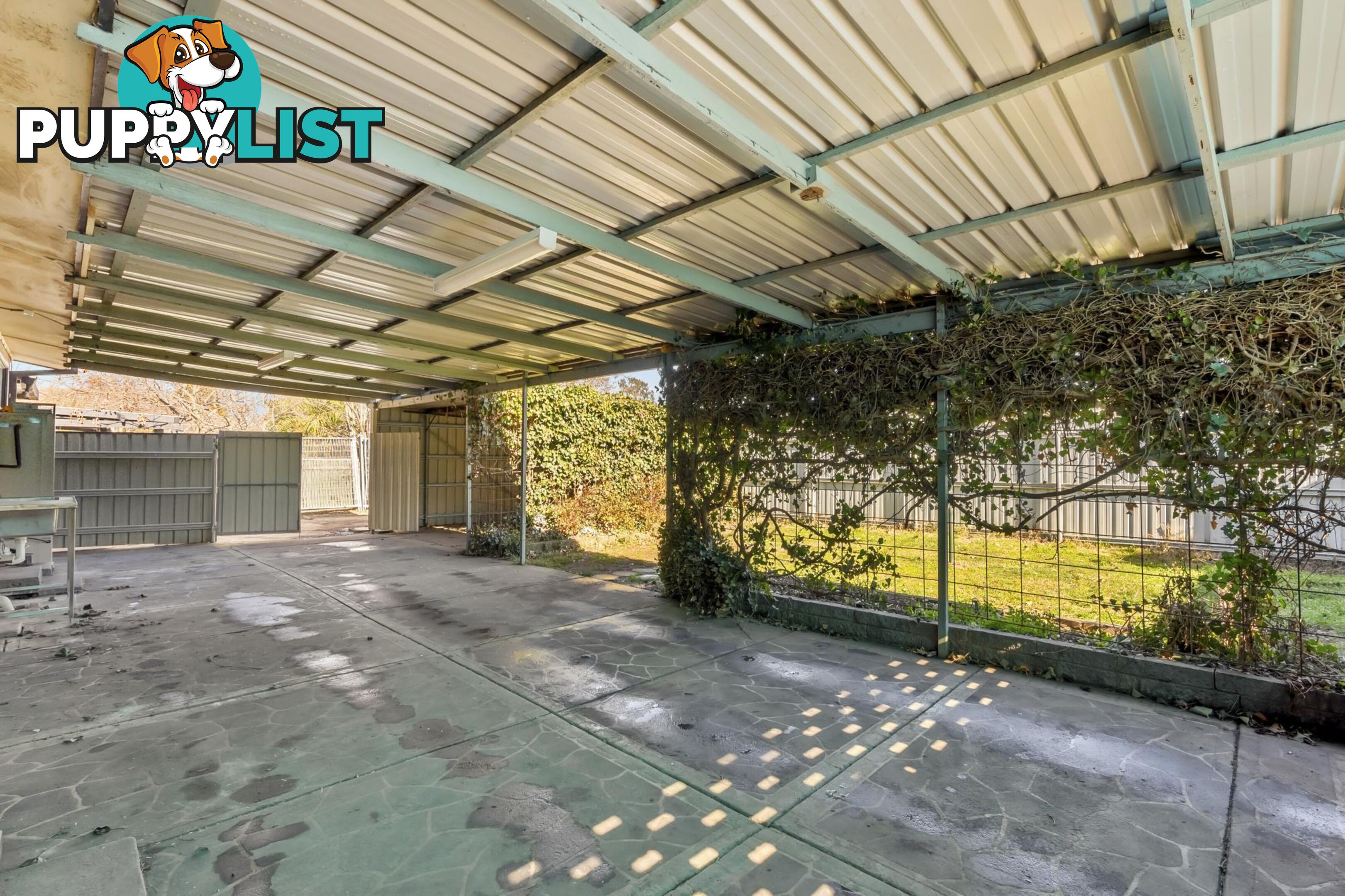 23 Melba Street DOWNER ACT 2602