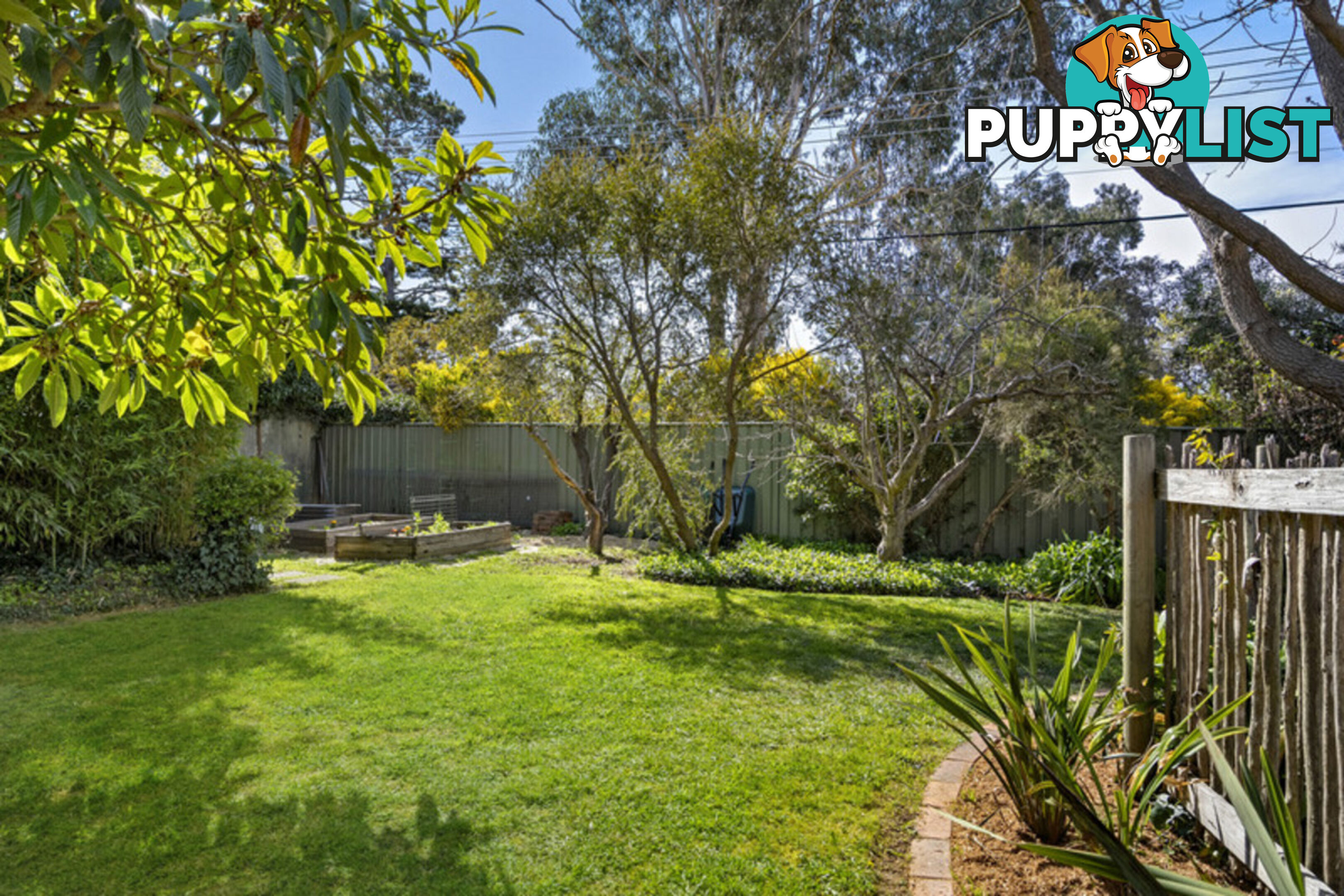 29 Owen Crescent LYNEHAM ACT 2602