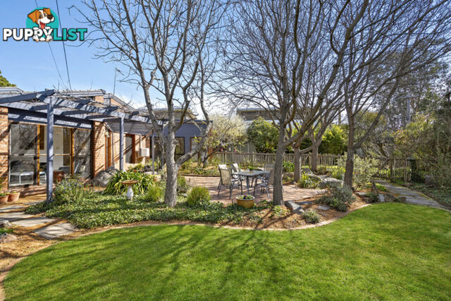 29 Owen Crescent LYNEHAM ACT 2602