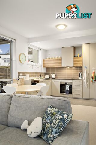 4/15 Berrigan Crescent O'CONNOR ACT 2602