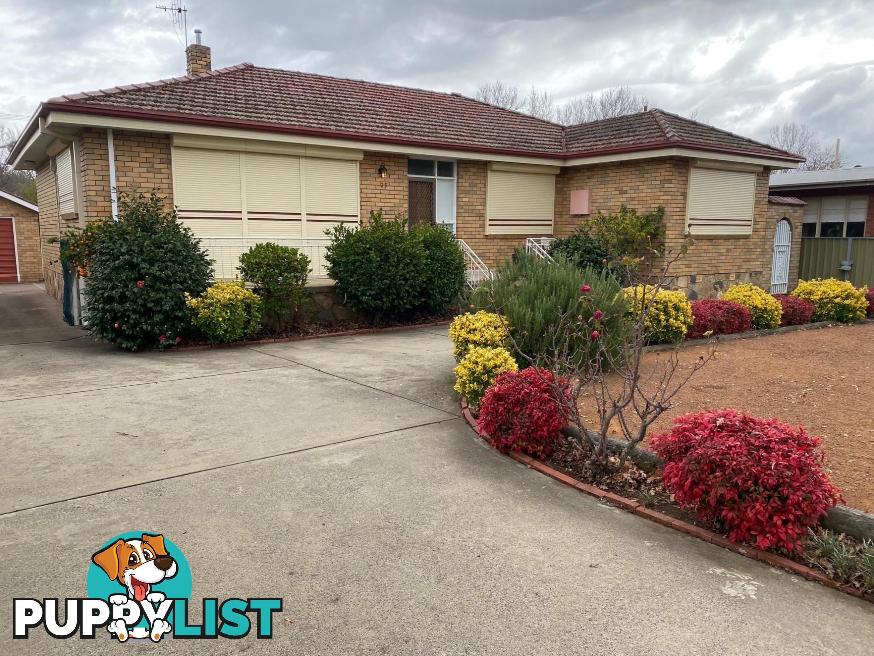 25 Majura Avenue DICKSON ACT 2602