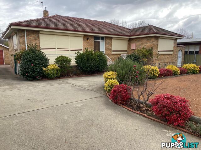 25 Majura Avenue DICKSON ACT 2602