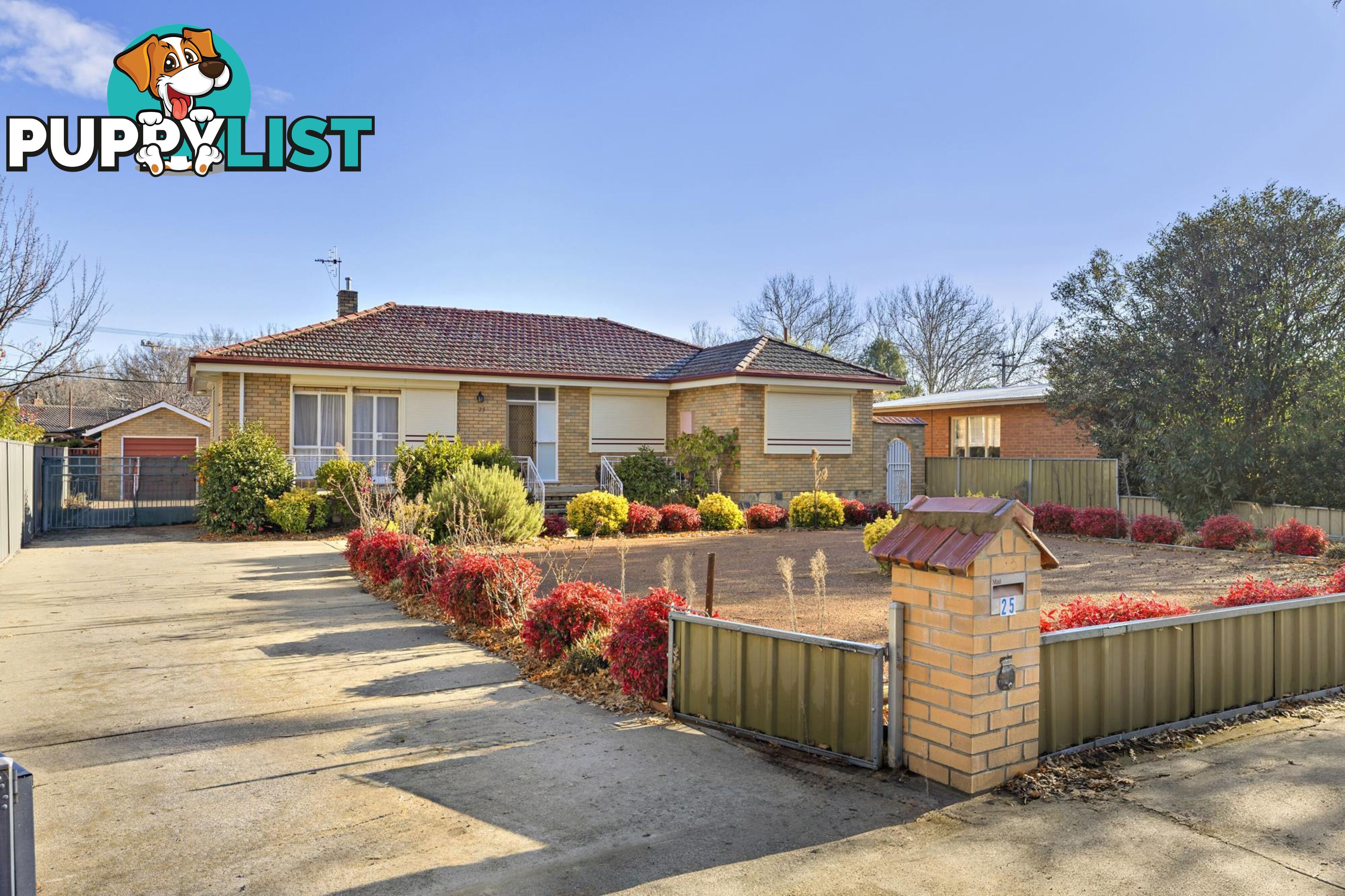 25 Majura Avenue DICKSON ACT 2602