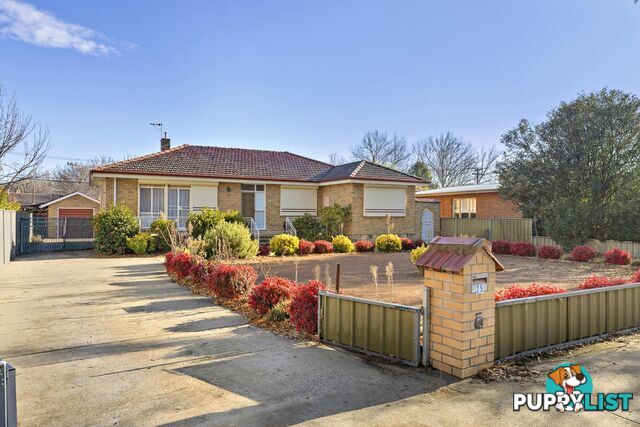 25 Majura Avenue DICKSON ACT 2602