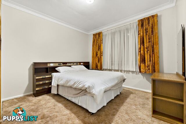 25 Majura Avenue DICKSON ACT 2602