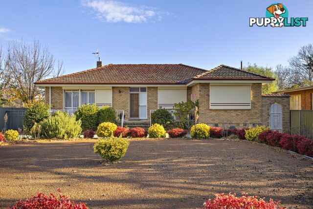 25 Majura Avenue DICKSON ACT 2602