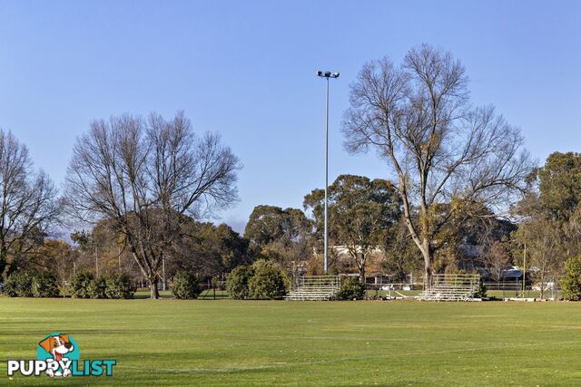 25 Majura Avenue DICKSON ACT 2602