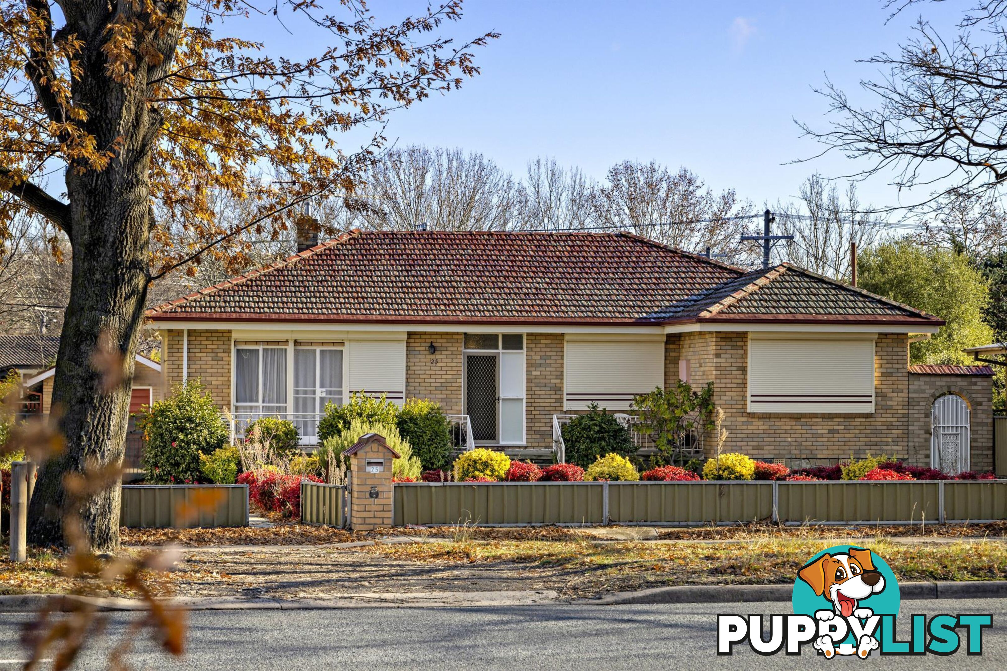 25 Majura Avenue DICKSON ACT 2602