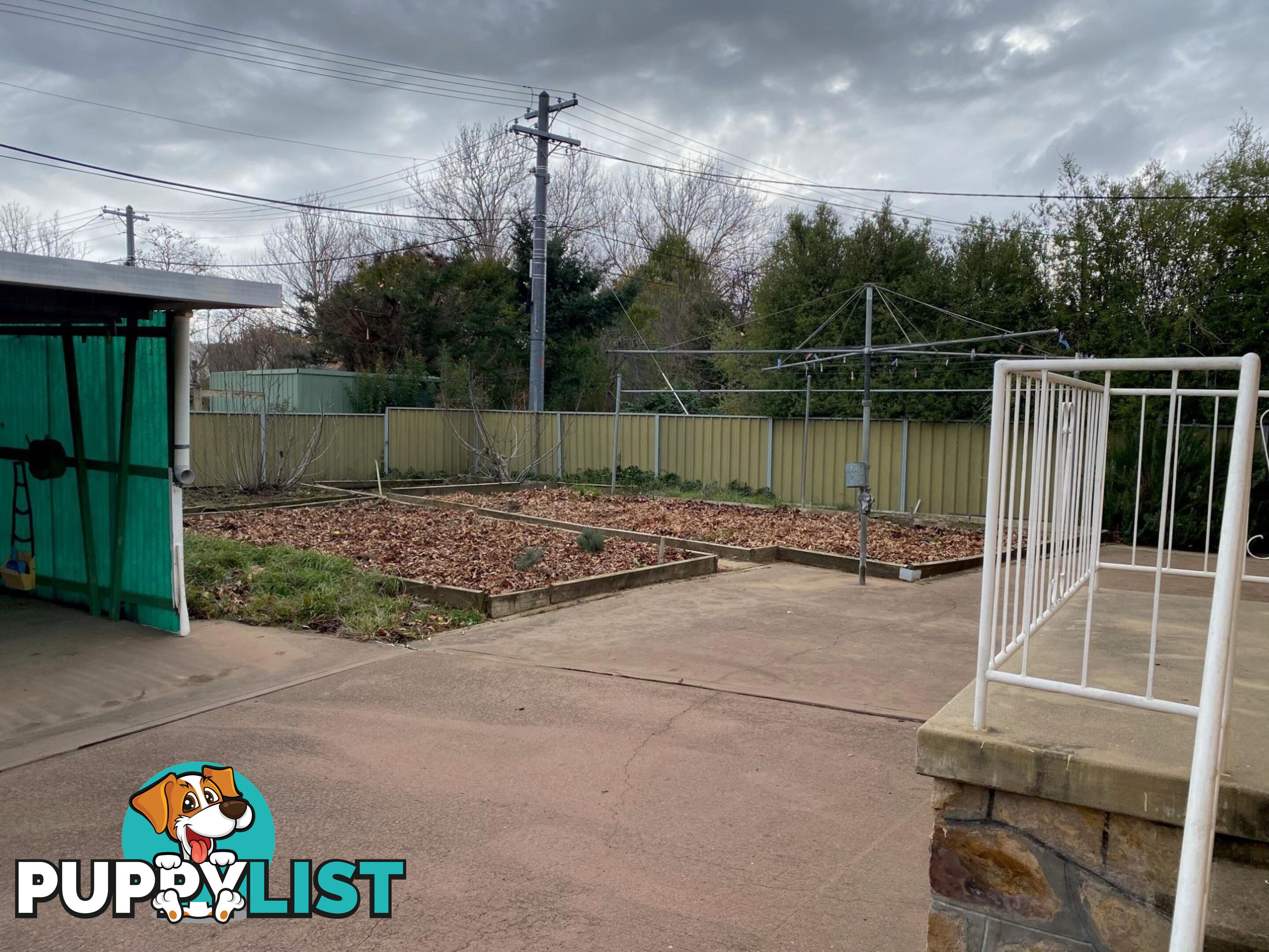 25 Majura Avenue DICKSON ACT 2602