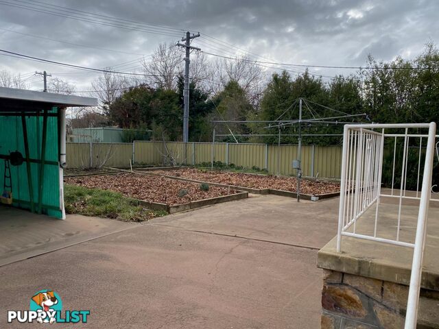 25 Majura Avenue DICKSON ACT 2602