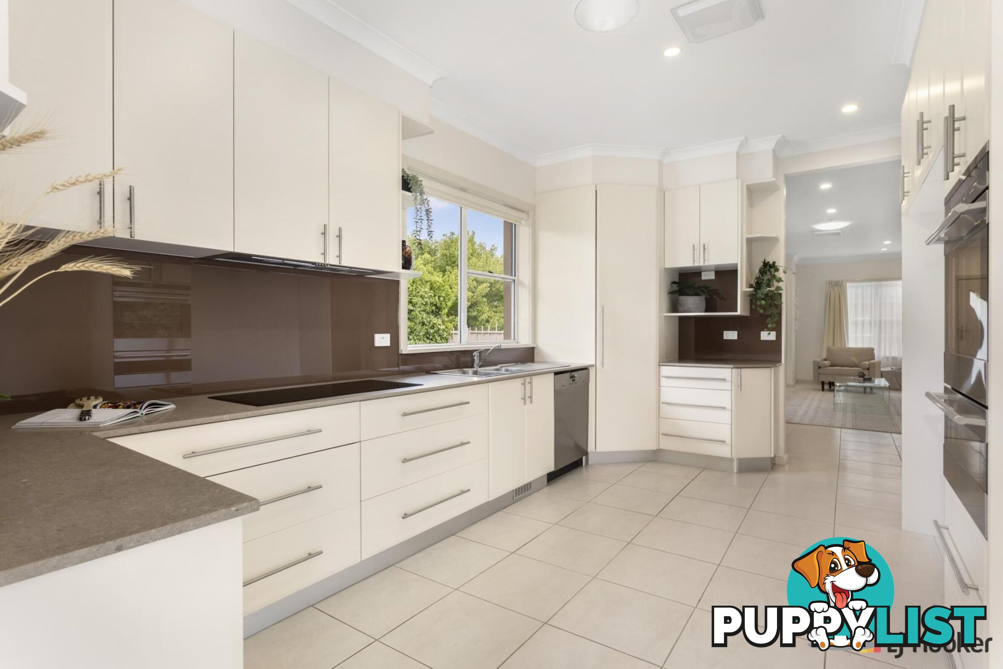 70 Paterson Street AINSLIE ACT 2602