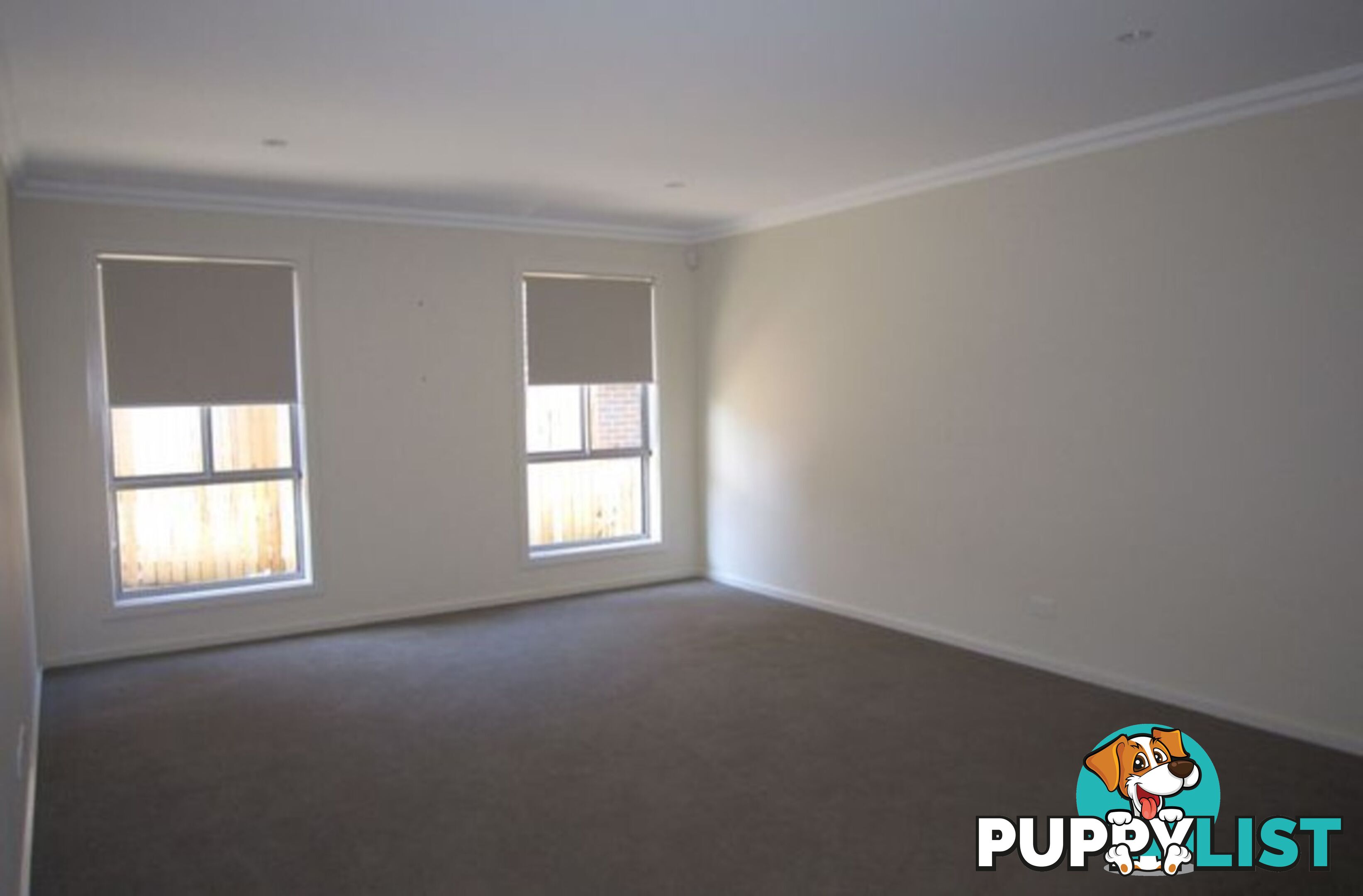 54 Albatross Street HARRISON ACT 2914