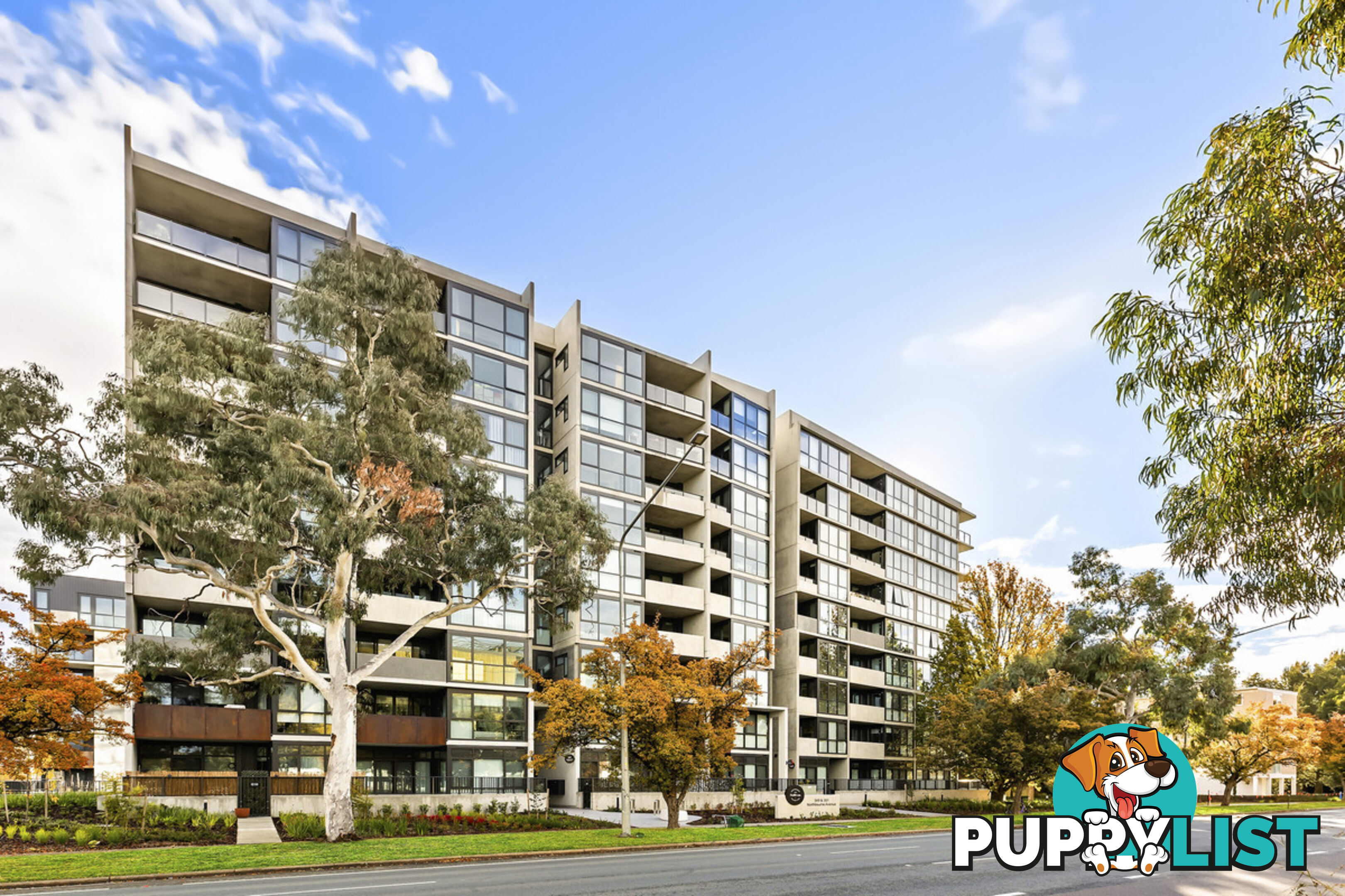 813/351 Northbourne Avenue LYNEHAM ACT 2602