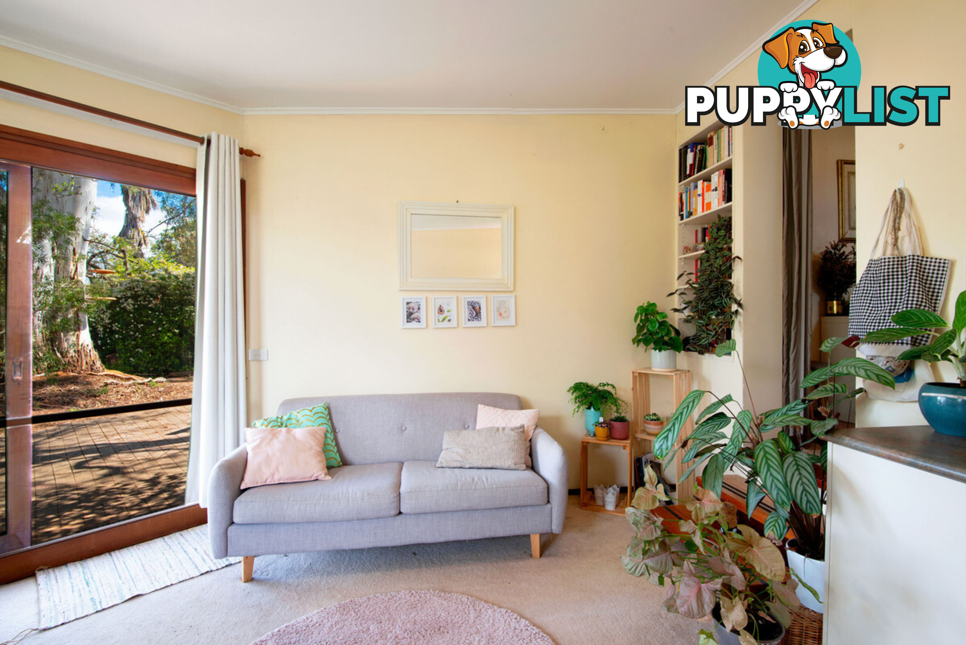 23A Padbury Place DOWNER ACT 2602