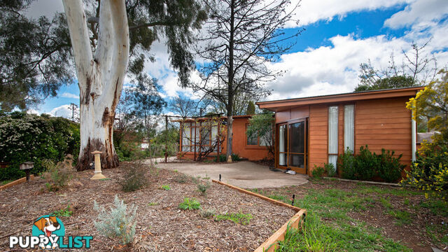 23A Padbury Place DOWNER ACT 2602
