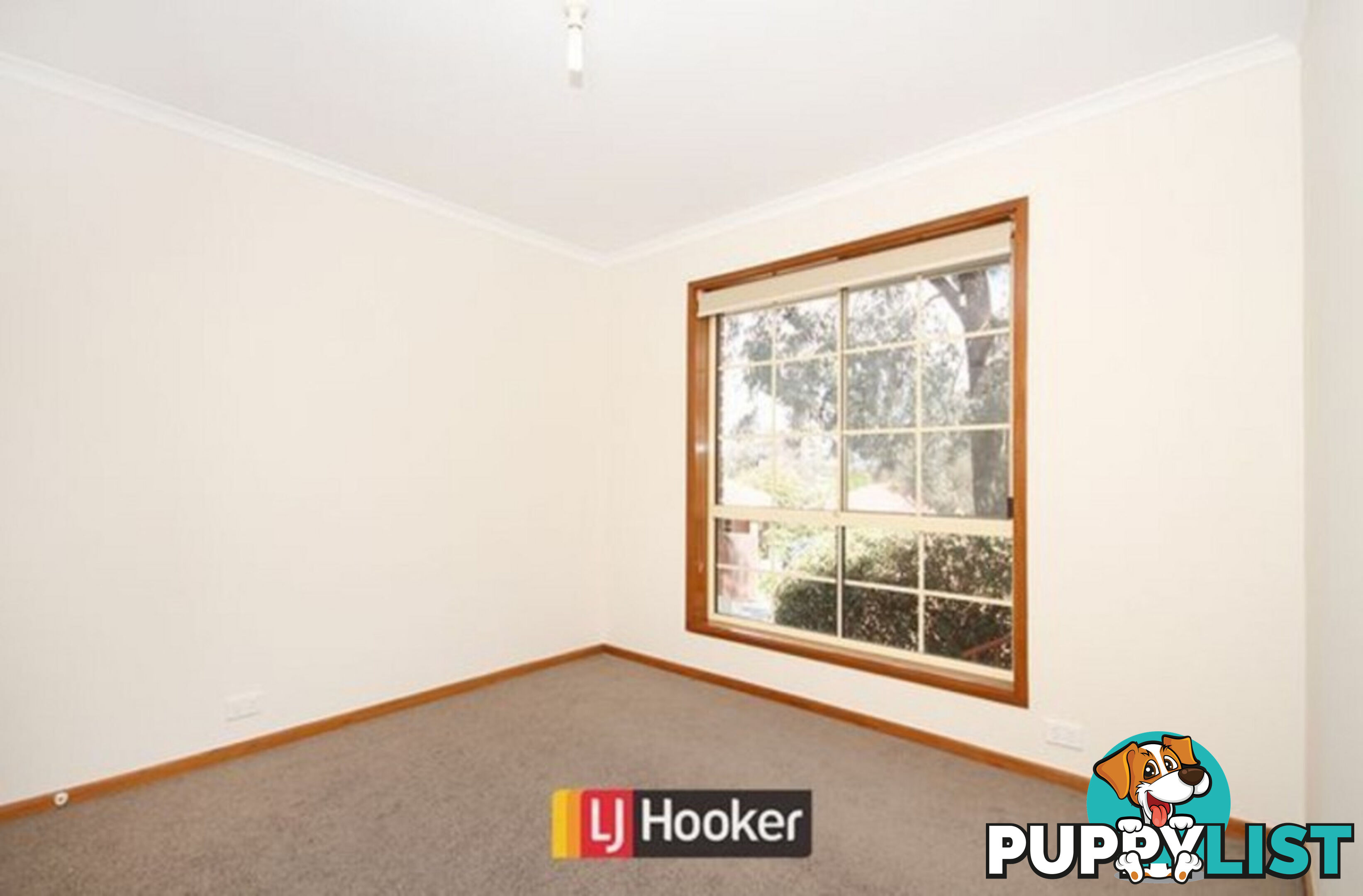 4/2 Jabanungga Avenue NGUNNAWAL ACT 2913