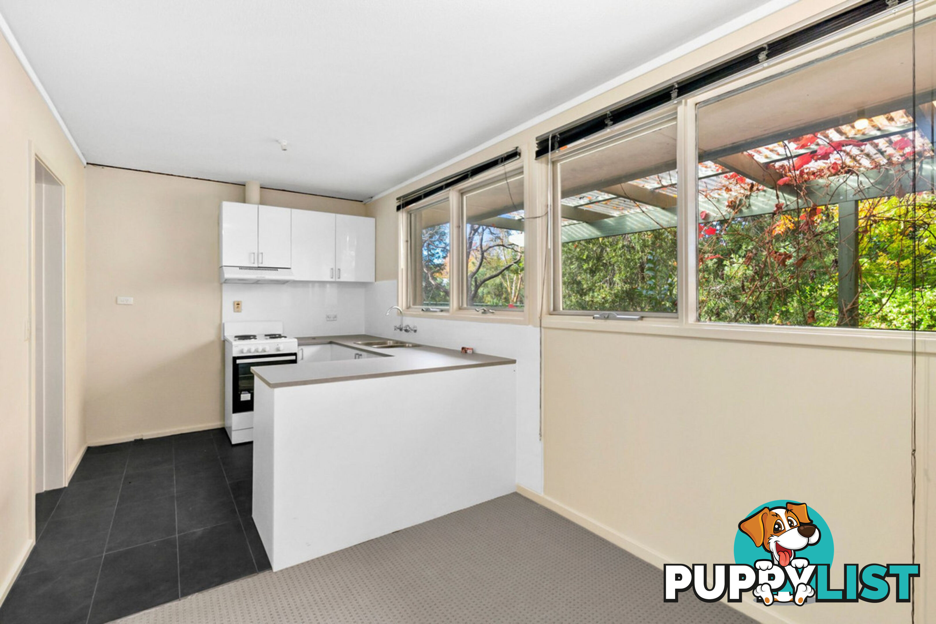 43 Dutton Street DICKSON ACT 2602
