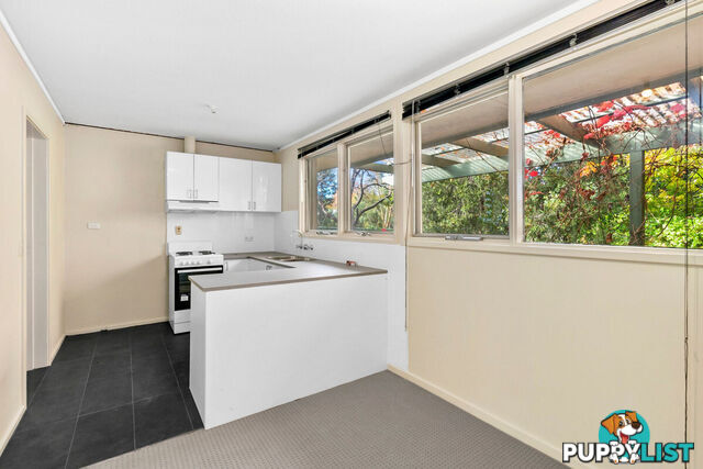 43 Dutton Street DICKSON ACT 2602