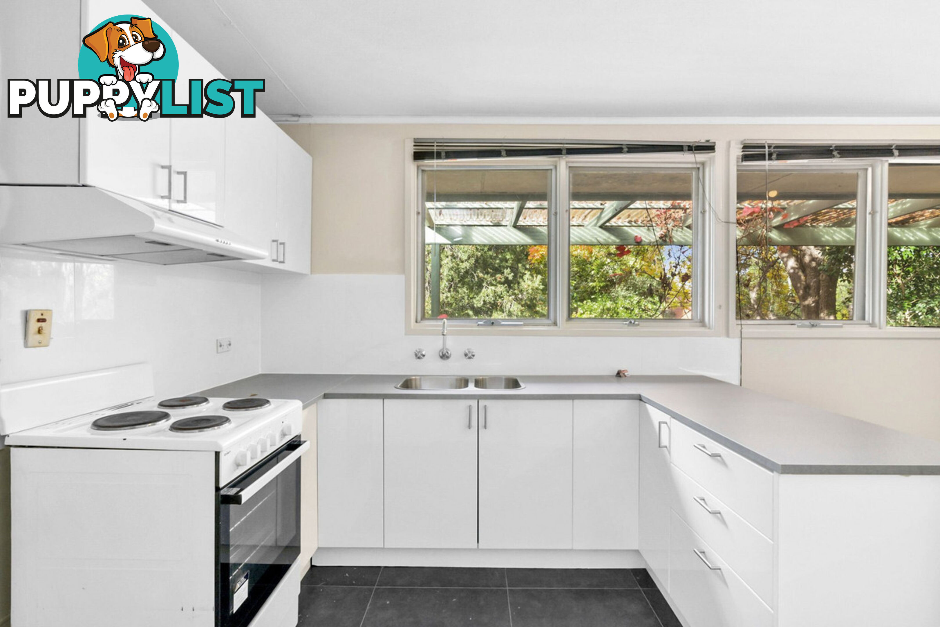 43 Dutton Street DICKSON ACT 2602