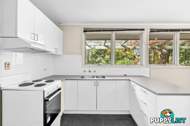 43 Dutton Street DICKSON ACT 2602