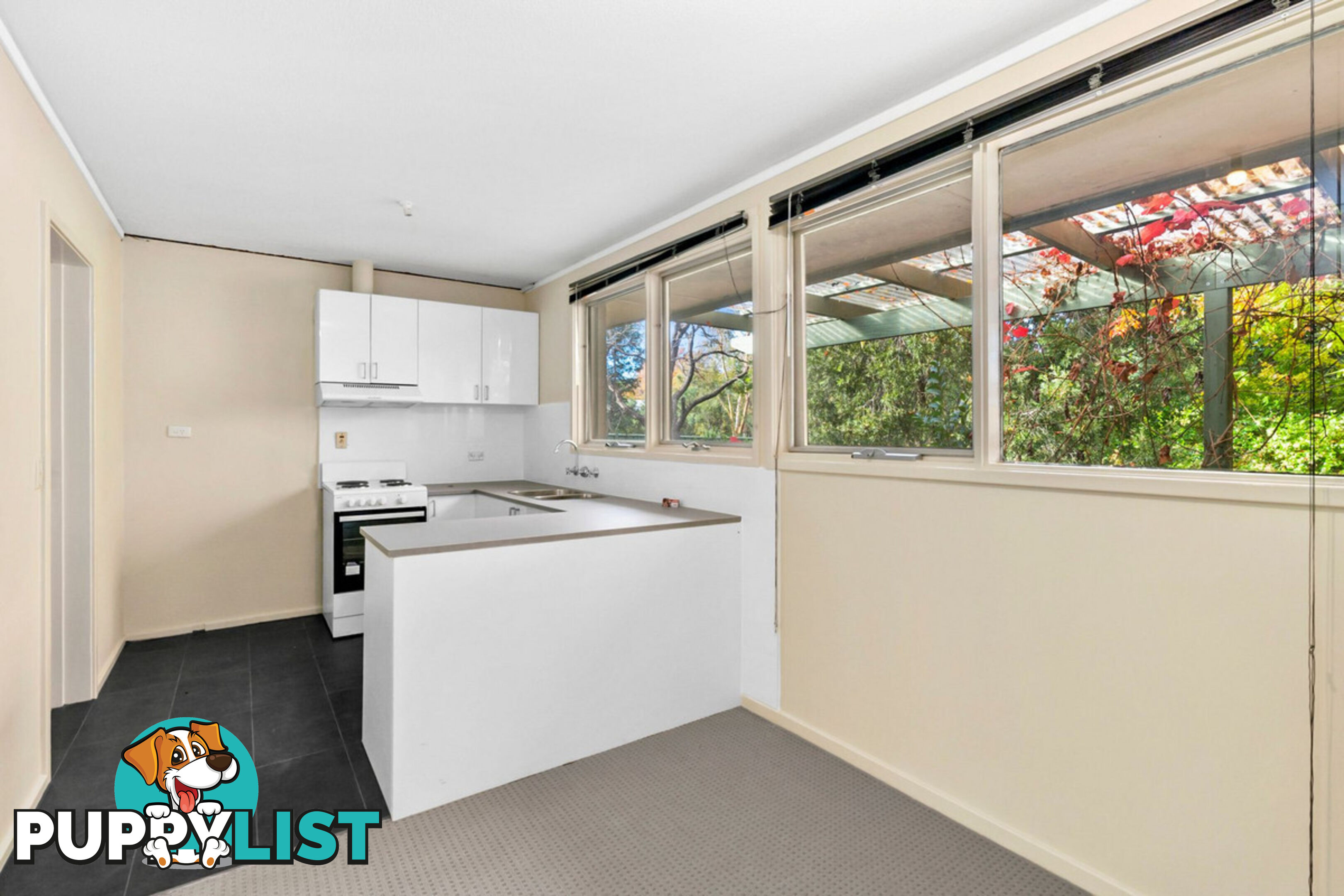 43 Dutton Street DICKSON ACT 2602