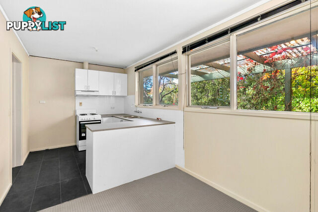 43 Dutton Street DICKSON ACT 2602