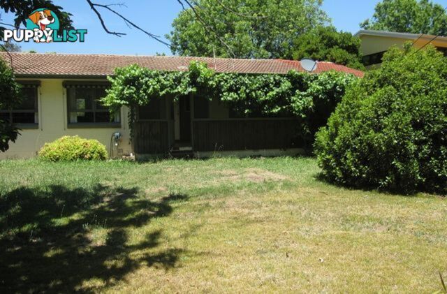 43 Dutton Street DICKSON ACT 2602