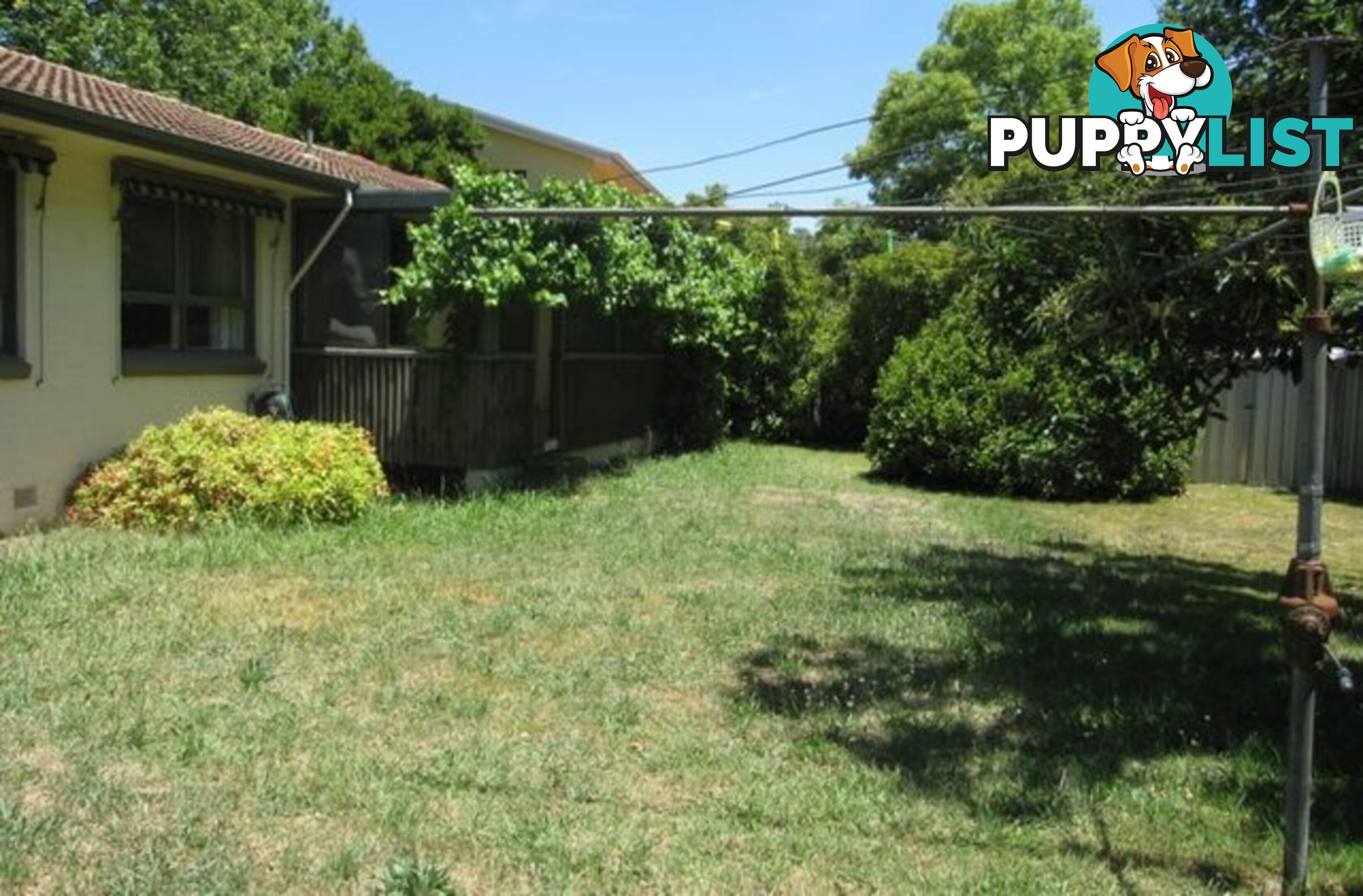43 Dutton Street DICKSON ACT 2602
