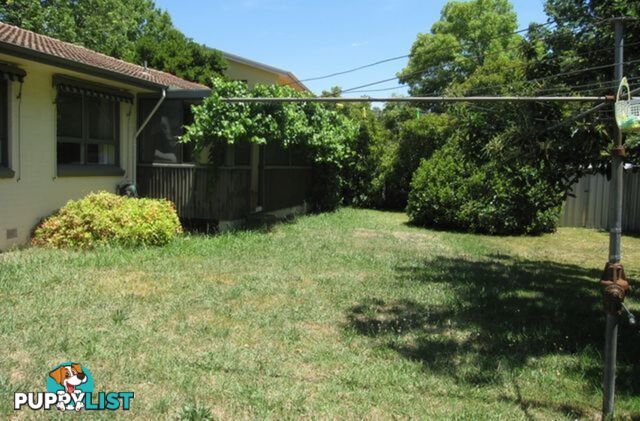 43 Dutton Street DICKSON ACT 2602