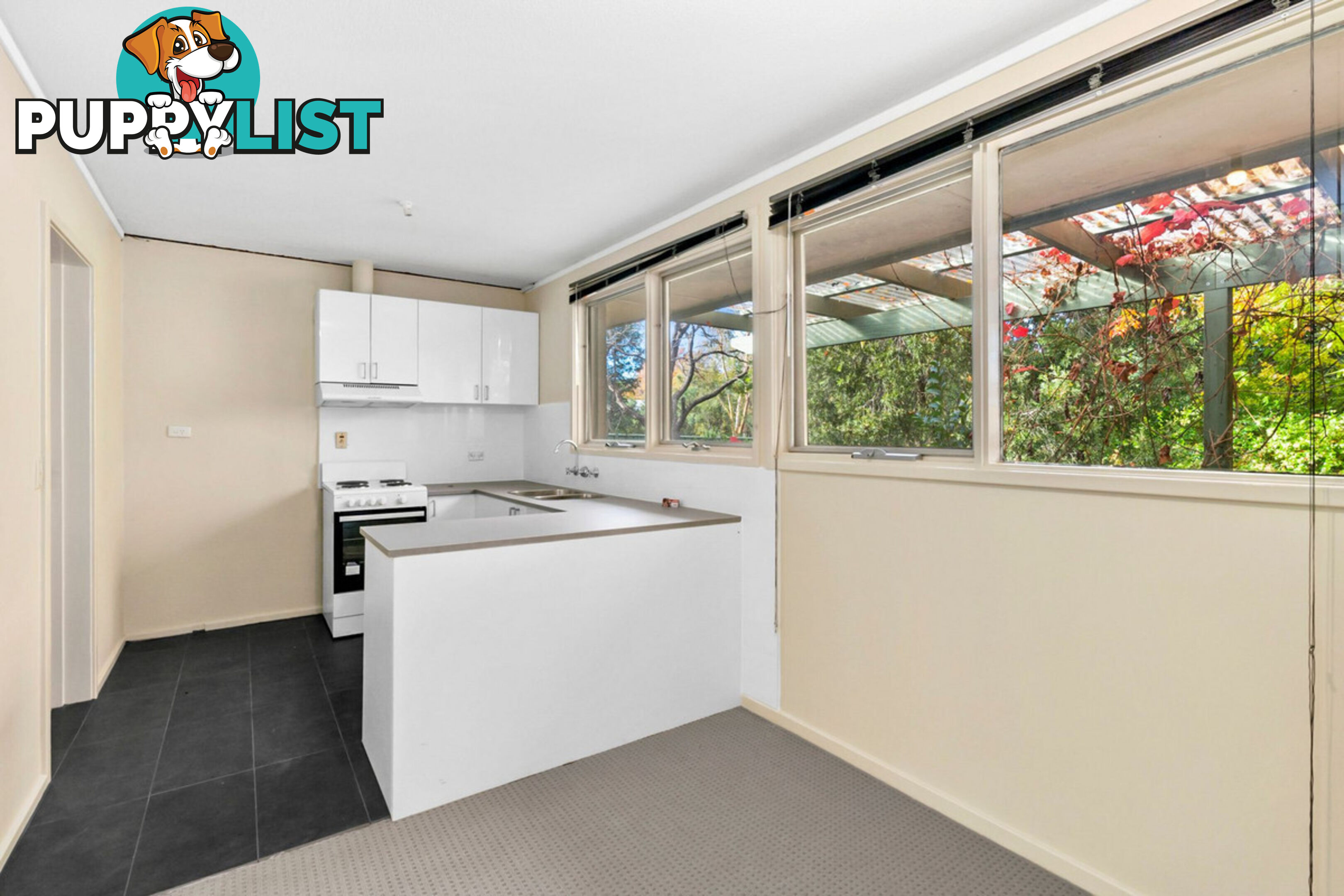 43 Dutton Street DICKSON ACT 2602