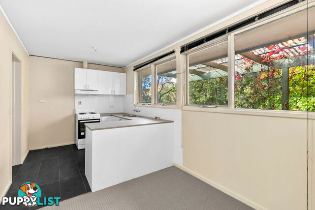43 Dutton Street DICKSON ACT 2602