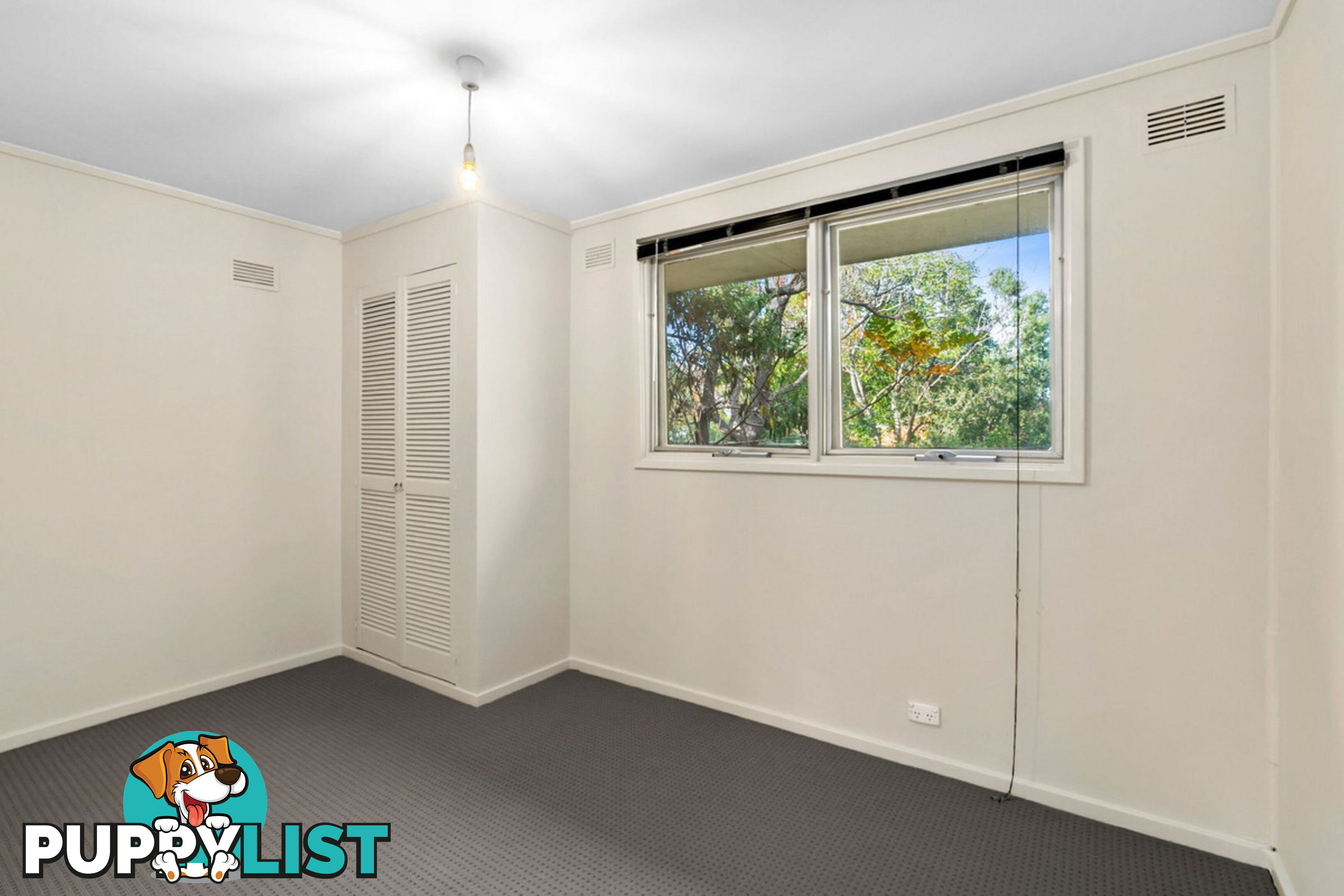43 Dutton Street DICKSON ACT 2602