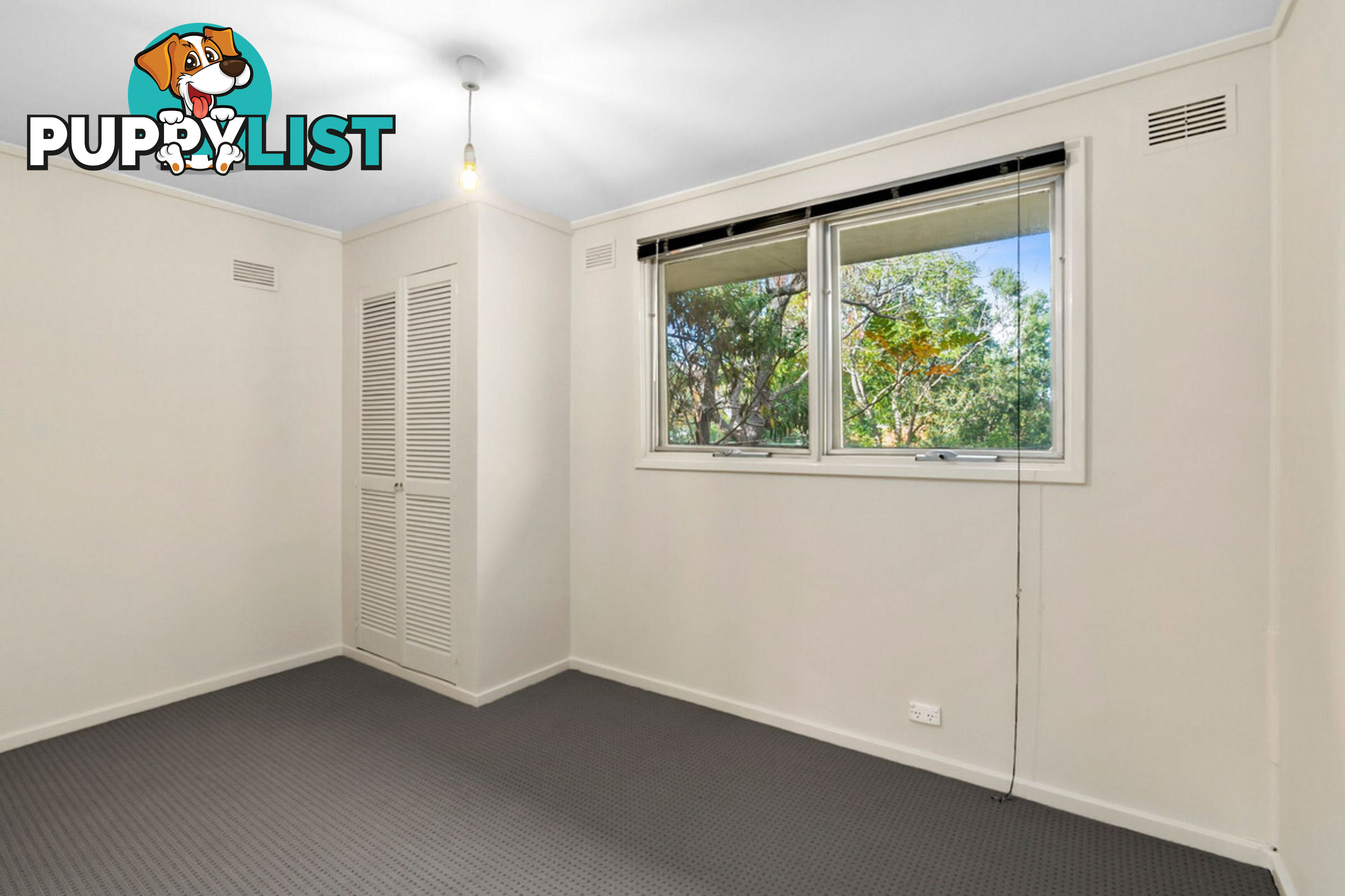 43 Dutton Street DICKSON ACT 2602