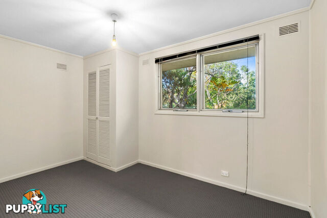 43 Dutton Street DICKSON ACT 2602