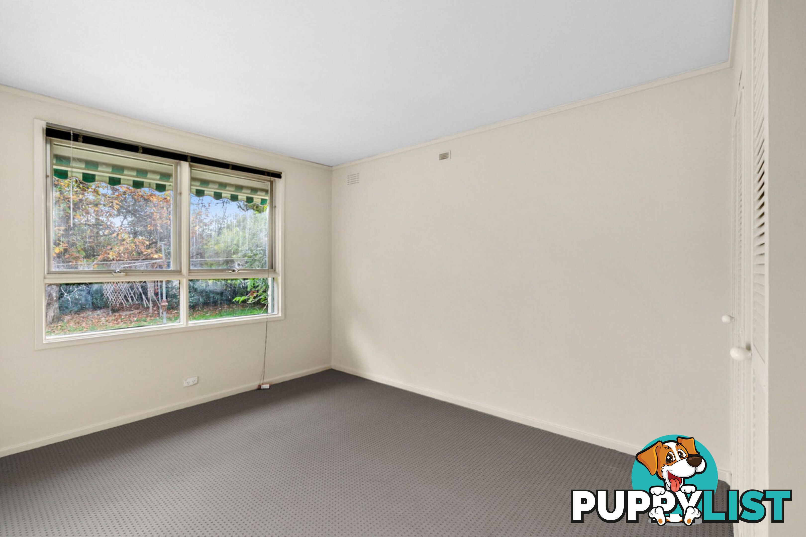 43 Dutton Street DICKSON ACT 2602