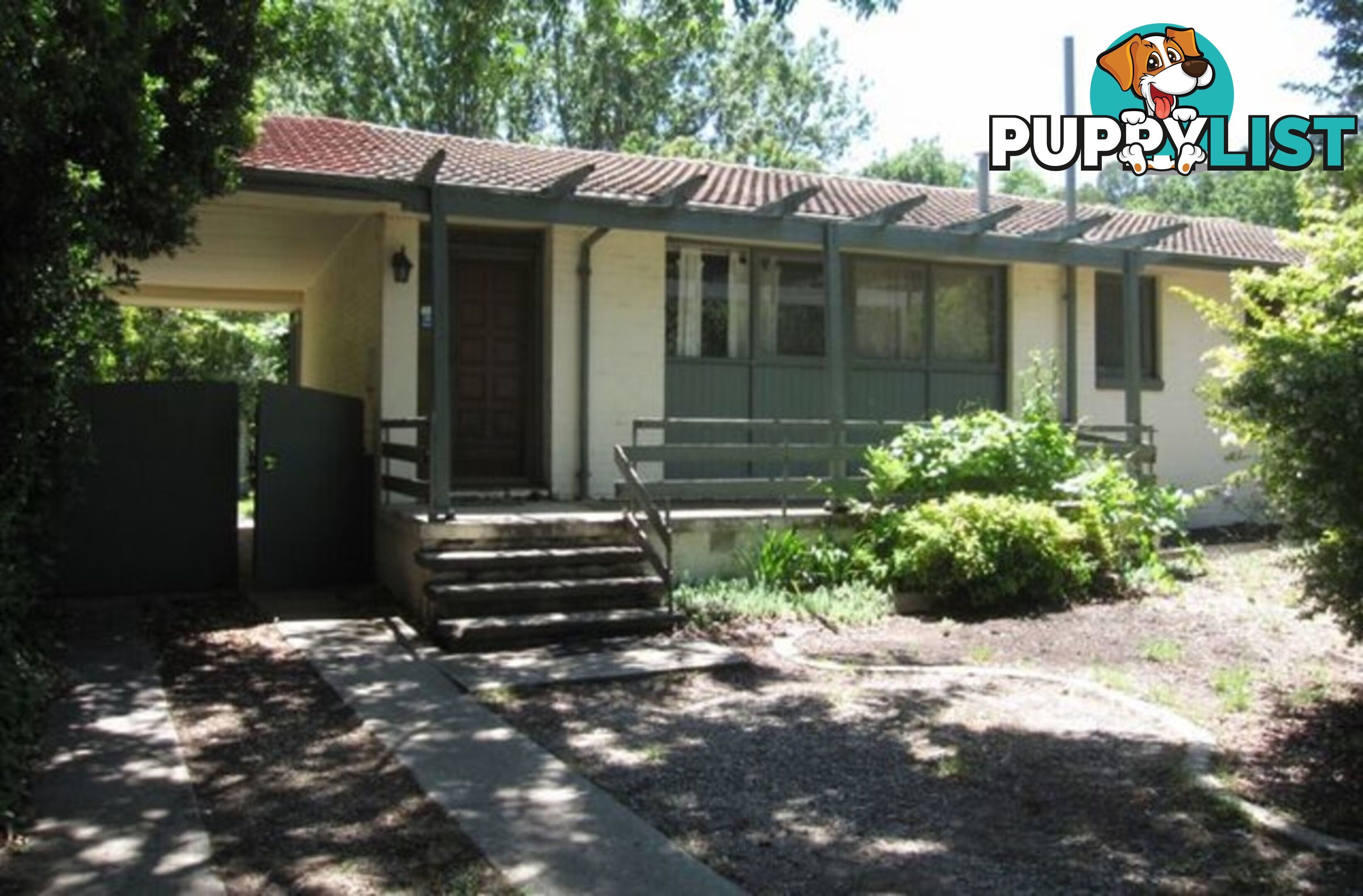 43 Dutton Street DICKSON ACT 2602