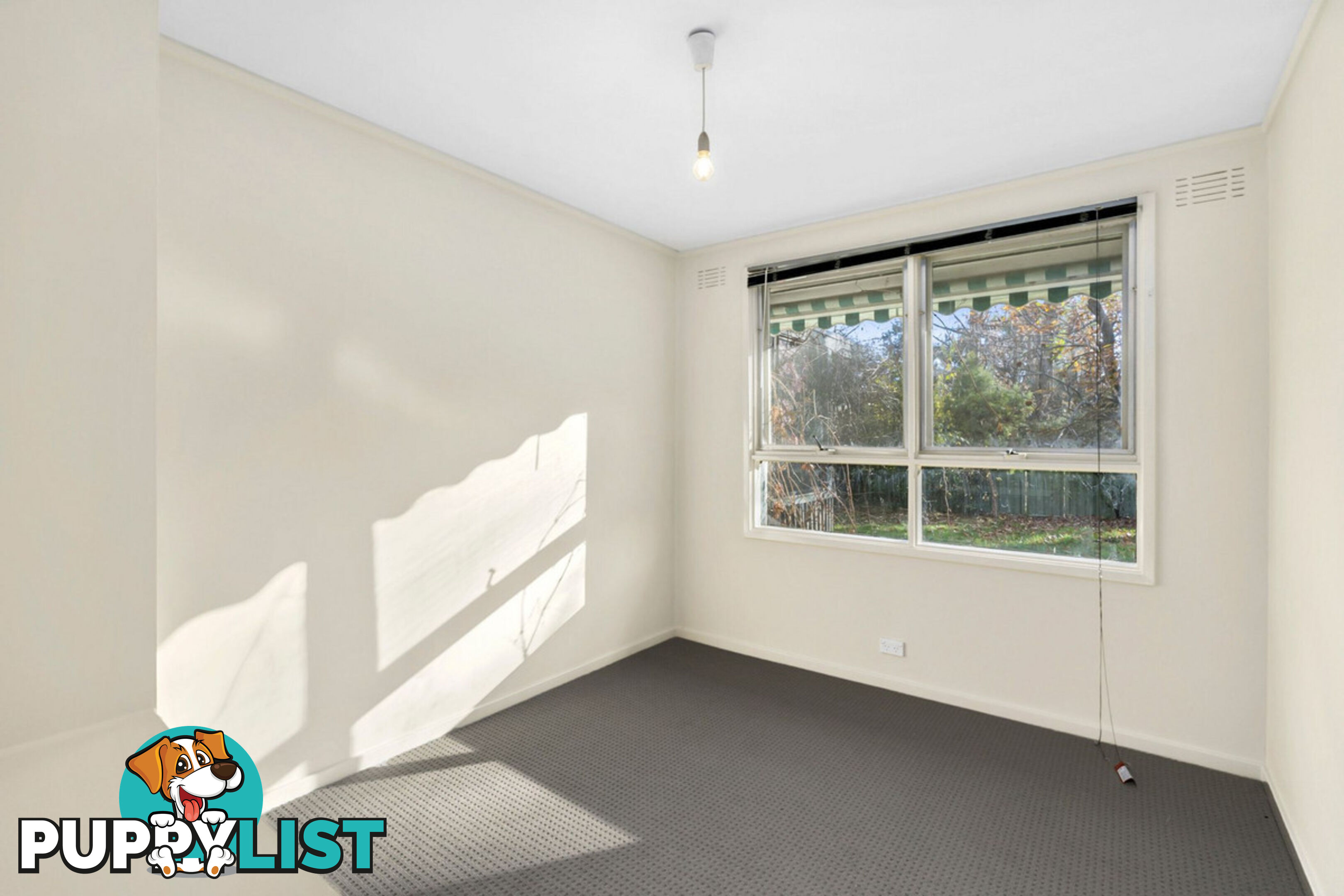 43 Dutton Street DICKSON ACT 2602