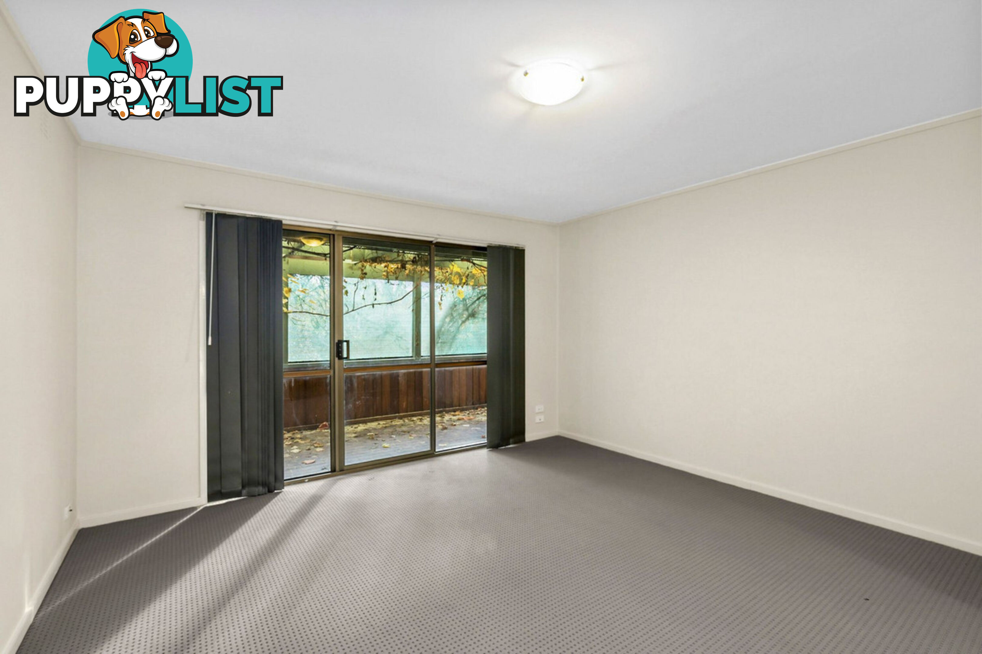 43 Dutton Street DICKSON ACT 2602