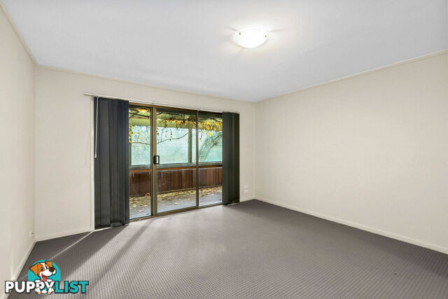 43 Dutton Street DICKSON ACT 2602
