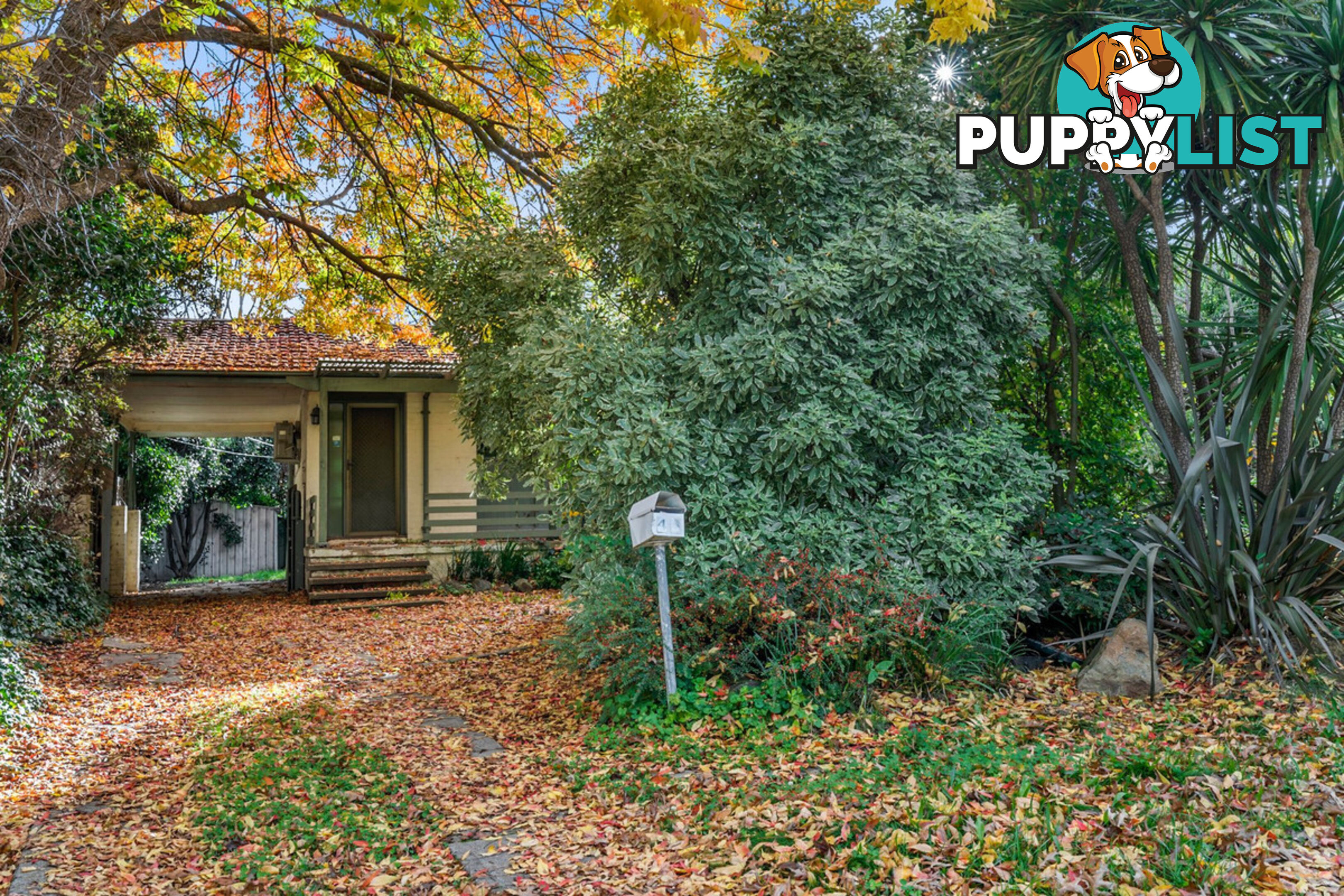 43 Dutton Street DICKSON ACT 2602